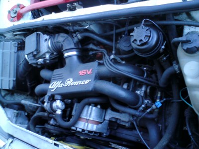 my16VBoxer.jpg