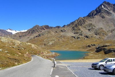 Gavia.jpg