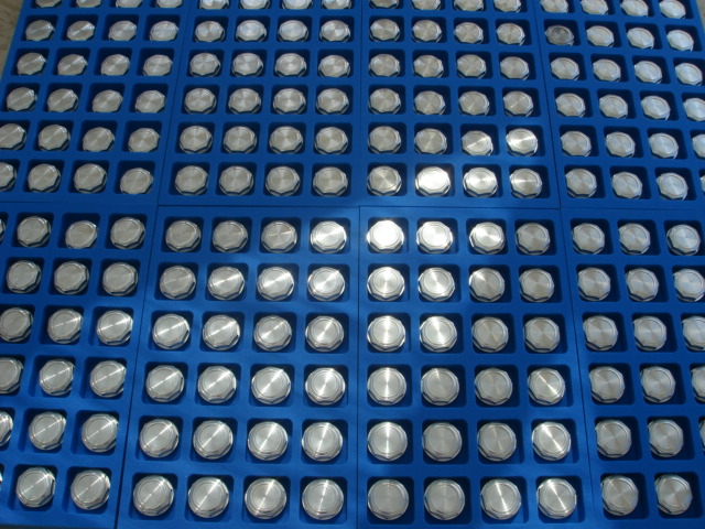 DSC02154.JPG