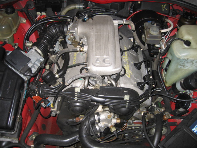 Alfa75 003.jpg