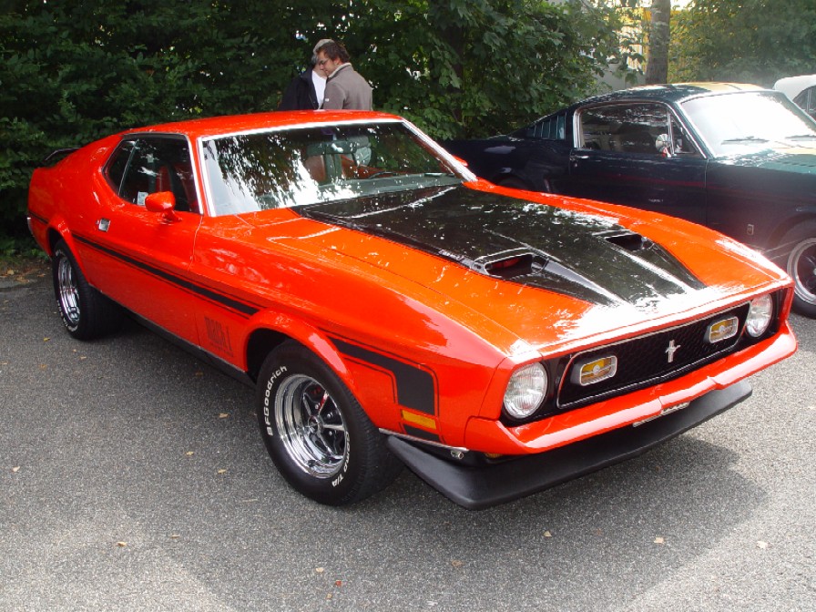 Mustangmeeting7.JPG