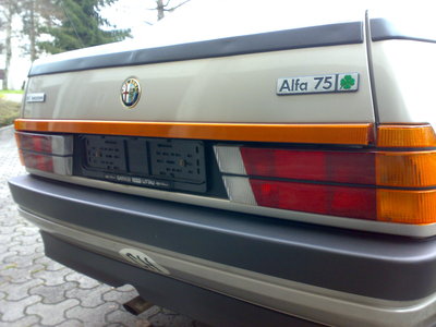 Alfa4.jpg