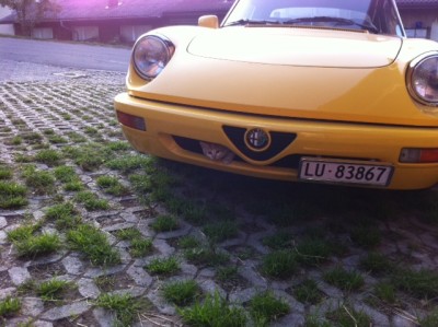 Büsi.JPG (139.98 KiB) 9119 mal betrachtet Büsi.JPG