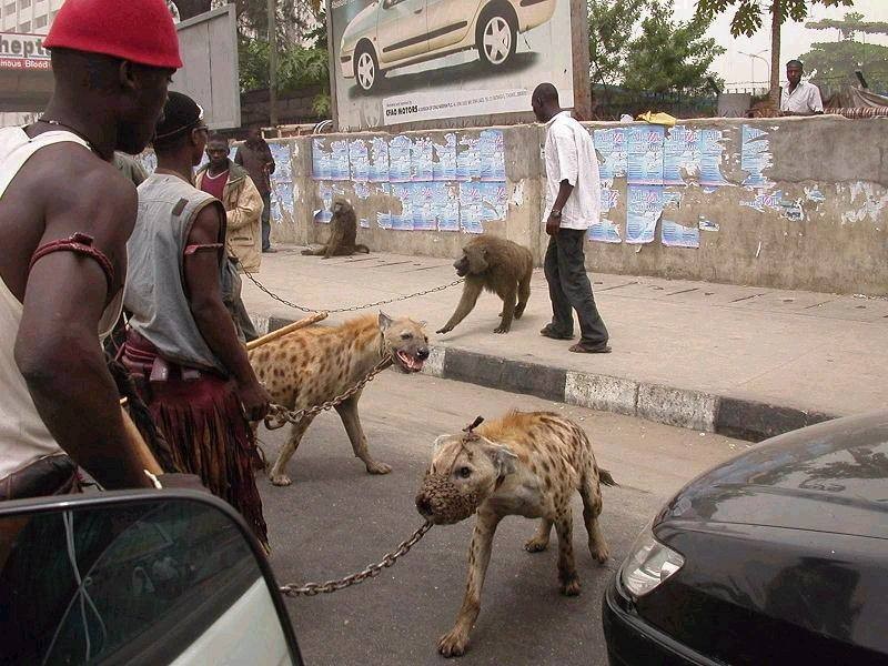 nigerian2.jpg