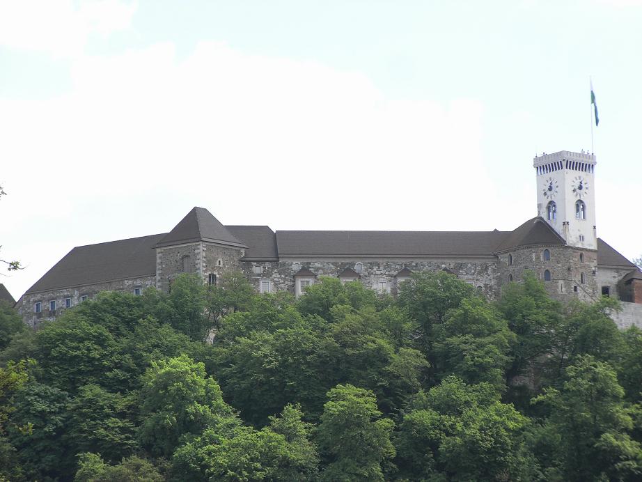 RIMG0175.JPG