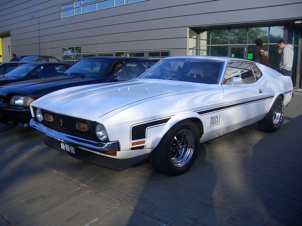 Mustang-mach-Iklein.jpg